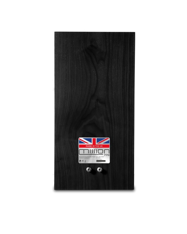 770 Black Standard (5)